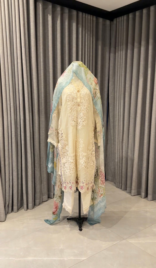 Sari with pants and scarf